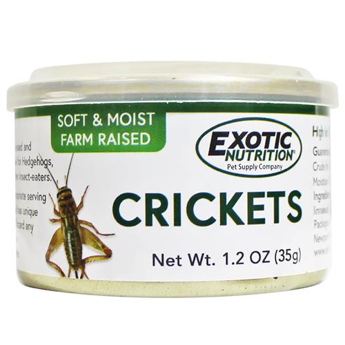 CANNED CRICKETS